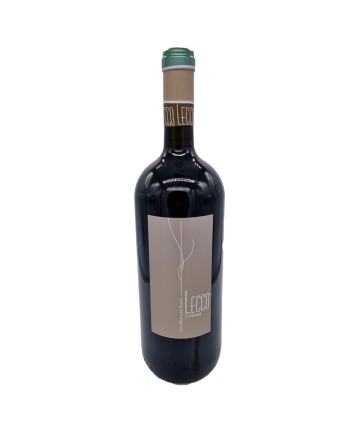 Ribera Crianza Magnum 20