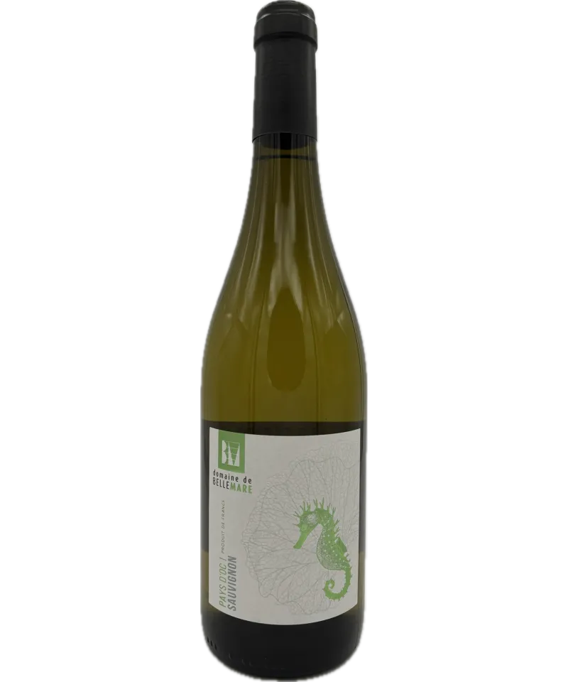 Sauvignon 23